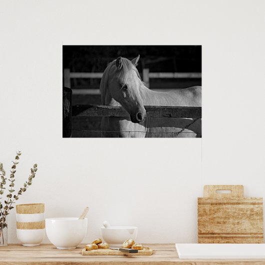 Harry ポスター (キッチン)