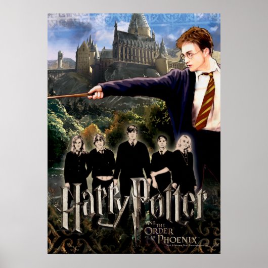 HARRY POTTER AND THE ORDER OF THE PHOENIX™ ポスター (正面)