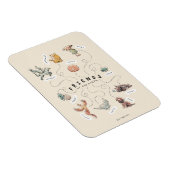 HARRY POTTER™ | Friends of Hogwarts マグネット (右側)