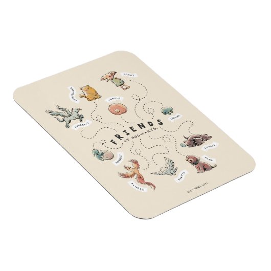 HARRY POTTER™ | Friends of Hogwarts マグネット (右側)