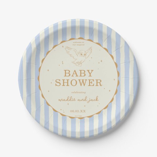 Harry Potter Hedwig Blue Stripe Baby Shower ペーパープレート (正面)