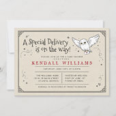 Harry Potter | Hedwig Special Delivery Baby Shower (正面)