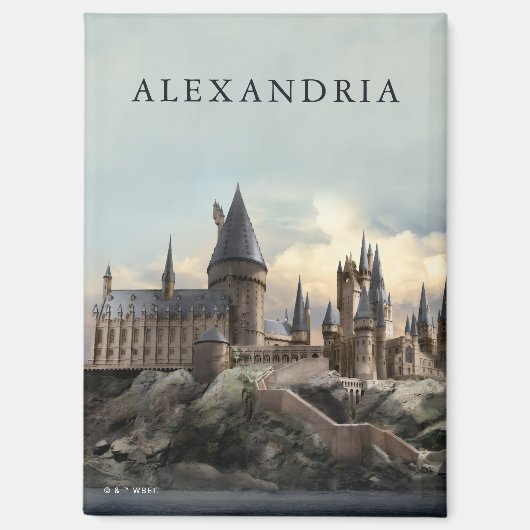 Harry Potter | Hogwarts Castle Daytime マグネット (正面)