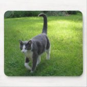 Harrypad 1 マウスパッド (正面)