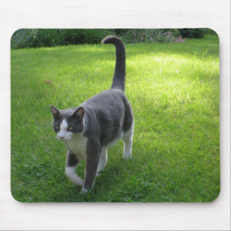 Harrypad 1 マウスパッド