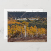 Hart Prairie Flagstaff (アリゾナ) ポストカード (正面/裏面)
