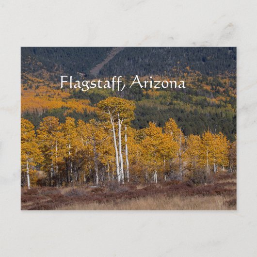 Hart Prairie Flagstaff (アリゾナ) ポストカード (正面)