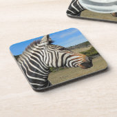 Hartmann's Zebra Profile at Fossil Rim コースター (左側)