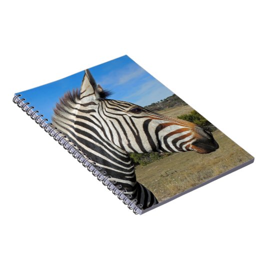 Hartmann's Zebra Profile at Fossil Rim ノートブック (右側)