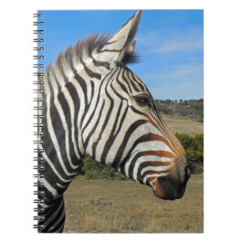 Hartmann's Zebra Profile at Fossil Rim ノートブック