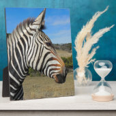 Hartmann's Zebra Profile at Fossil Rim フォトプラーク (側面)