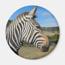 Hartmann's Zebra Profile at Fossil Rim マグネット