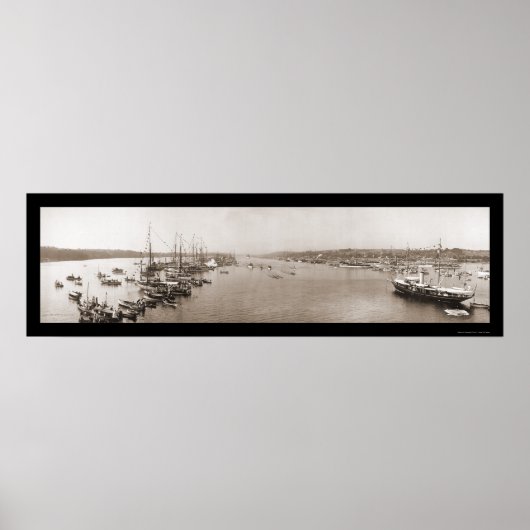 Harvard Yale Boat Race写真1905 ポスター (正面)