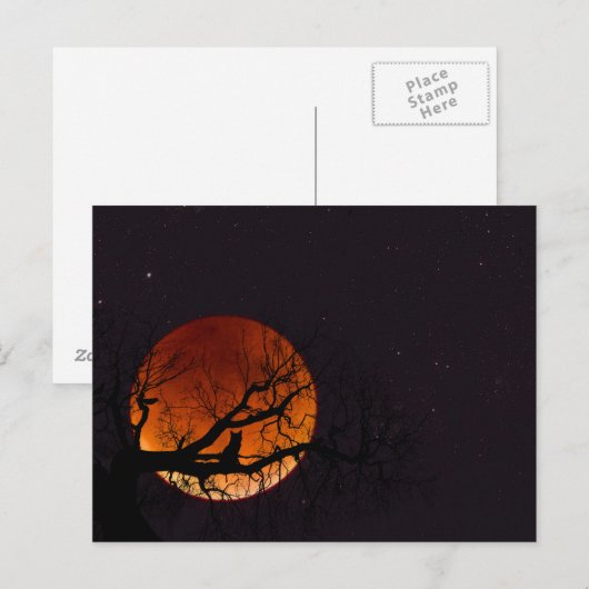 Harvest Moon with Tree and Cat Silhouette ポストカード (正面/裏面)