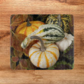 Harvest Pumpkins and Squash Still Life Photo カッティングボード