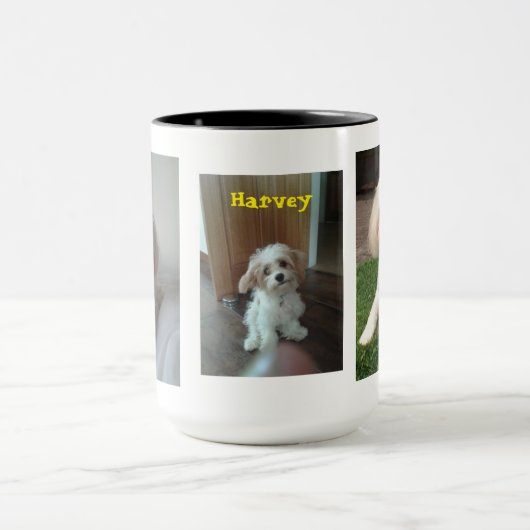 Harvey Cavahon マグカップ (中央)