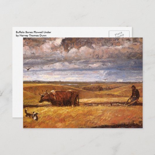 Harvey Thomas Dunnによって耕されたバッファローの骨 ポストカード (正面/裏面)