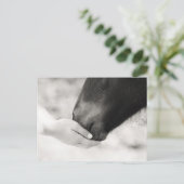 Häst Horse ポストカード (スタンド正面)