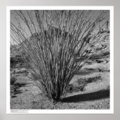 Hastings自然史予約 ポスター (正面)