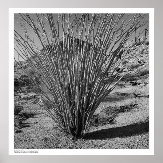 Hastings自然史予約 ポスター (正面)