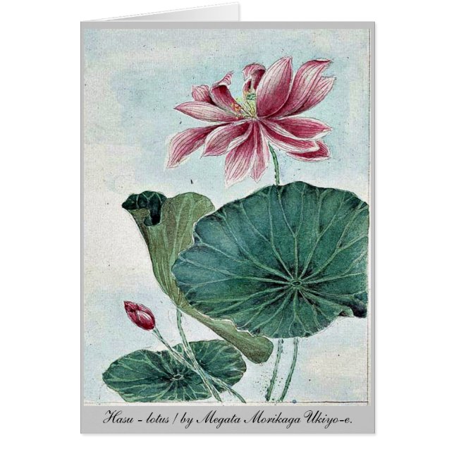 Hasu - Megata Morikaga Ukiyo e.著はす/ (正面)