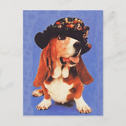 Hatヴィンテージ1970sとのおもしろい犬 ポストカード (正面)