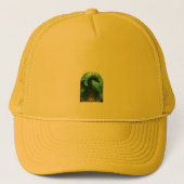 Hat キャップ (正面)