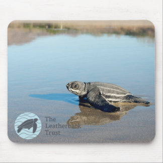 Hatchlingのマウスパッド マウスパッド