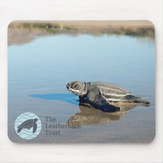 Hatchlingのマウスパッド マウスパッド (正面)