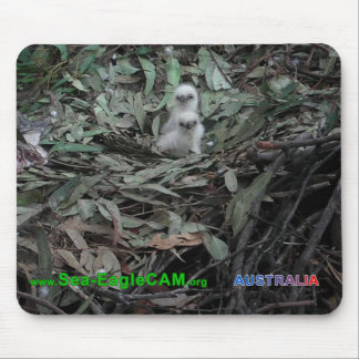 Hatchlingsの横のS1及びS2マウスパッド マウスパッド