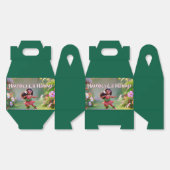 Hauʻoli Hula Princess フェイバーボックス (見開き)