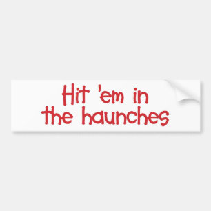 "Haunchesのバンパーステッカーのemに当って下さい バンパーステッカー