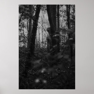 Haunted Forest – Mysterious Shadow in the Woods ポスター
