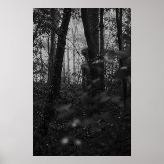 Haunted Forest – Mysterious Shadow in the Woods ポスター (正面)