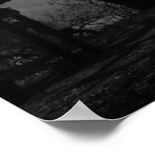 Haunting Black and White Trees ポスター (角)