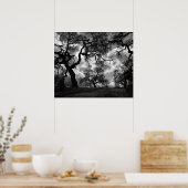 Haunting Black and White Trees ポスター (キッチン)