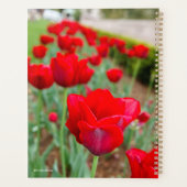 Haupt Bulbs、クローズアップ プランナー手帳 (裏面)