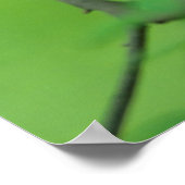 Haushahn mit Henne auf Ast,New Hampshire, Haushuhn ポスター (角)