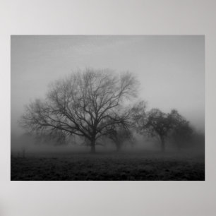 Hauting Fog Canvas ポスター
