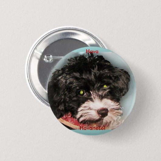 Hava Havanese! 缶バッジ (正面&裏面)