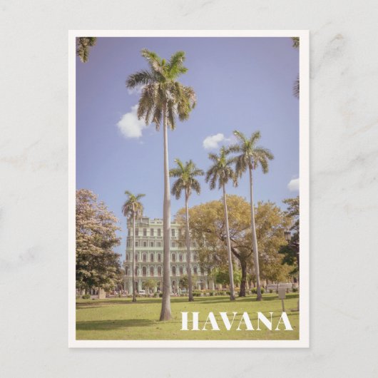 Havana Cuba Green Palm Trees & Architecture ポストカード (正面)