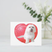 Havaneseのバレンタインデー シーズンポストカード (スタンド正面)