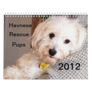 Havaneseの子犬の救助のカレンダー2012年 カレンダー