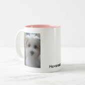 Havaneseの子犬 ツートーンマグカップ (正面左)