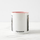 Havaneseの子犬 ツートーンマグカップ (中央)