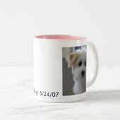 Havaneseの子犬 ツートーンマグカップ (正面右)