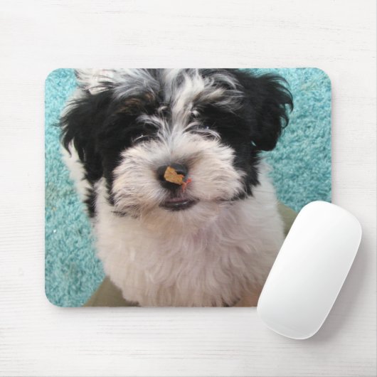 Havaneseの子犬 マウスパッド (マウス)