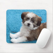 Havaneseの子犬 マウスパッド (マウス)