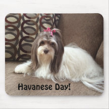 Havaneseの愛犬家のためのマウスパッド: Havanese日!