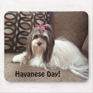 Havaneseの愛犬家のためのマウスパッド: Havanese日! マウスパッド